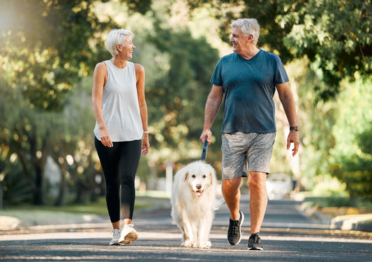 Seniors in Motion: The Life-Enhancing Power of Exercise